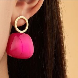 Chic Pink and Gold Jewelry Earrings
